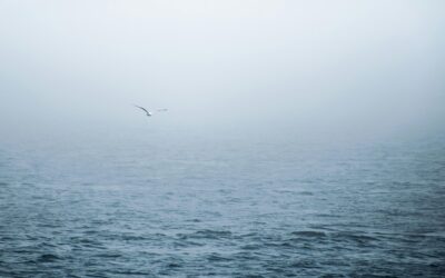 Navigating Grief: Losing Loved Ones and Finding Support