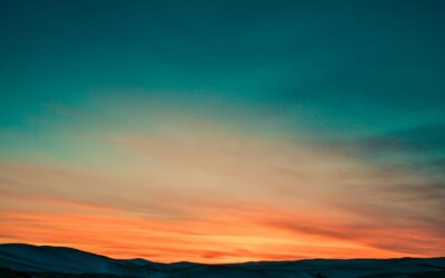 The Journey to Trauma Recovery—Healing at Your Own Pace