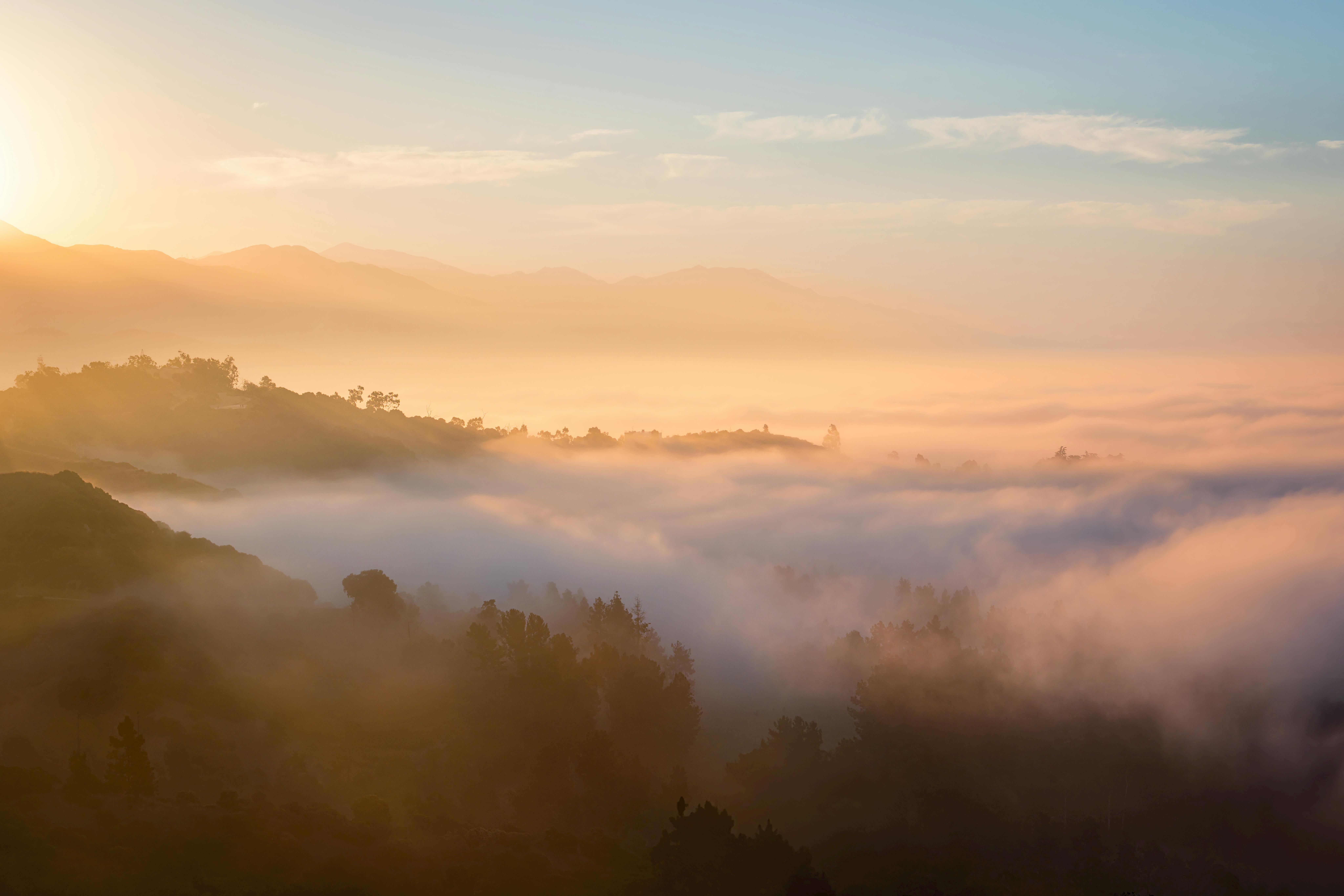 Feeling Foggy? What You Need to Know About Brain Fog